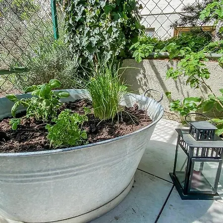 Apartamento Stylisches Mit Terrasse In Der Altstadt Von *